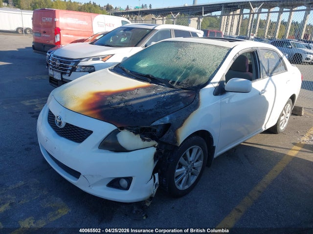 2009 Toyota Corolla S/le/xle მანქანა იყიდება აუქციონზე, vin: 2T1BU40E39C123973, აუქციონის ნომერი: 40065502