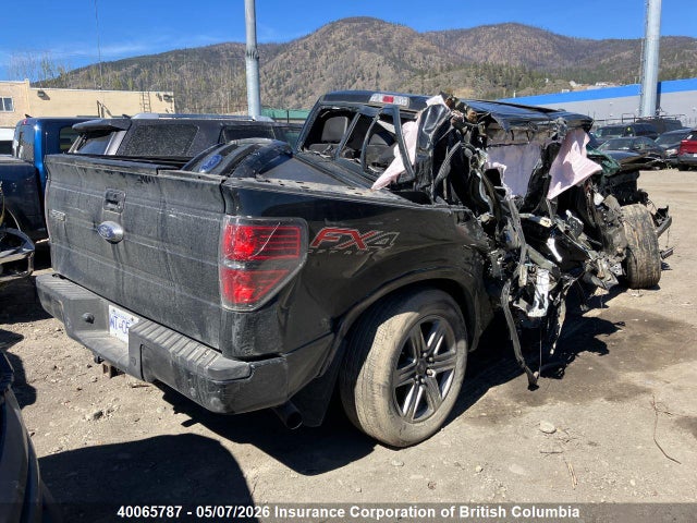 2014 Ford F150 მანქანა იყიდება აუქციონზე, vin: 1FTFW1ET8EFB12714, აუქციონის ნომერი: 40065787