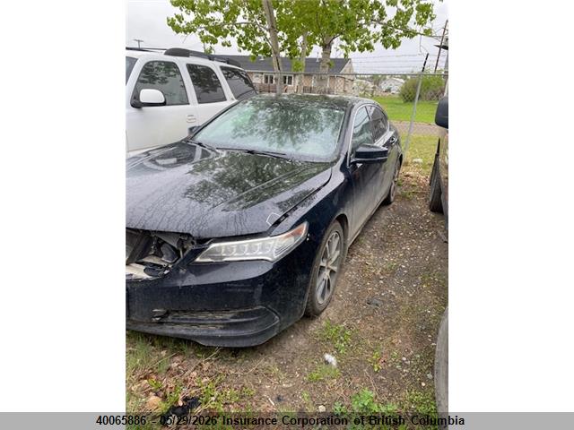 19UUB2F55FA800341 Acura TLX
