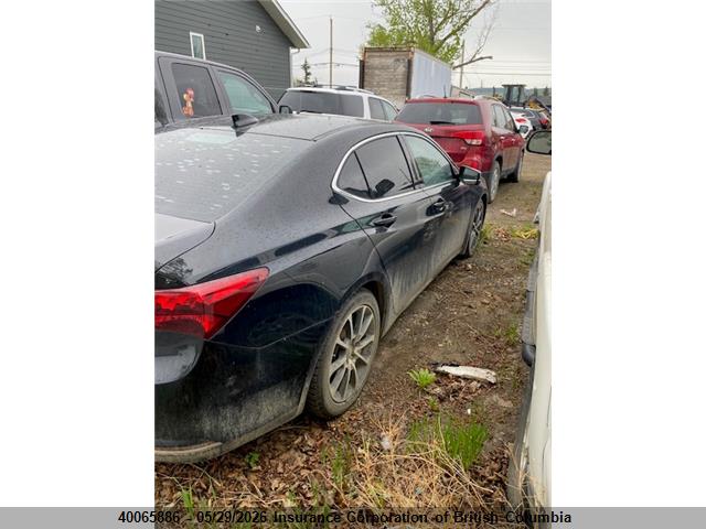19UUB2F55FA800341 Acura TLX