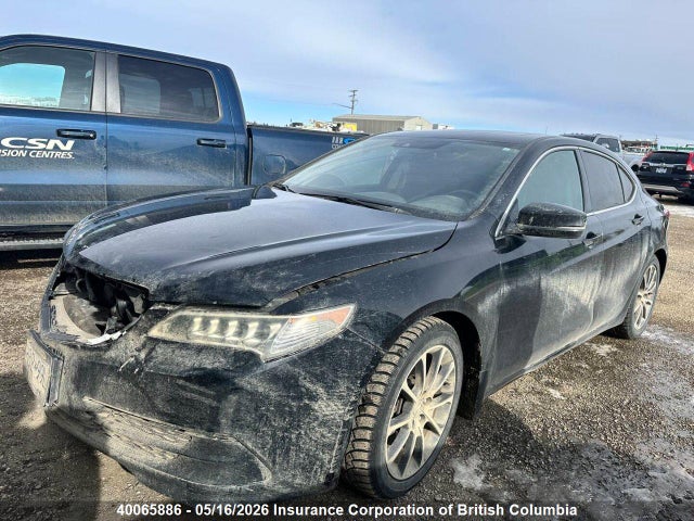 19UUB2F55FA800341 Acura TLX