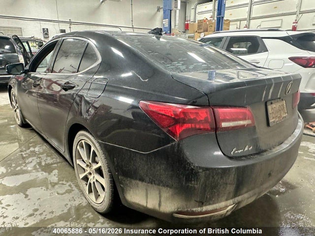 19UUB2F55FA800341 Acura TLX