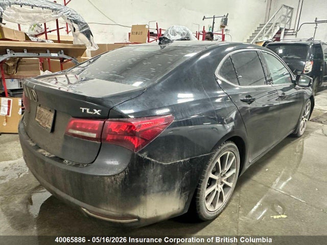 19UUB2F55FA800341 Acura TLX