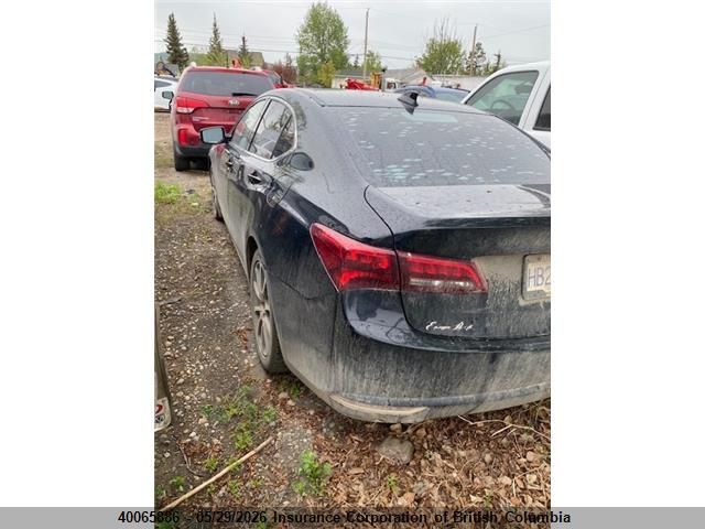 19UUB2F55FA800341 Acura TLX