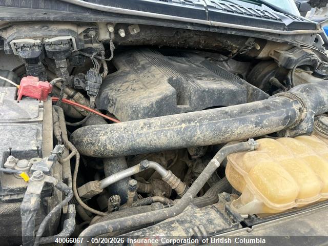 2018 Ford F150 მანქანა იყიდება აუქციონზე, vin: 1FTFX1EG9JKD27276, აუქციონის ნომერი: 40066067