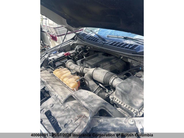 Продаж на аукціоні авто 2017 Ford F150, vin: 1FTEW1EG7HKD13966, номер лоту: 40066091