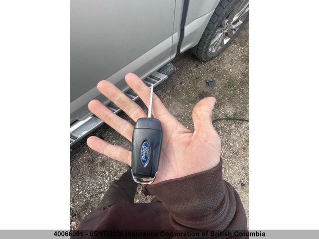 Продаж на аукціоні авто 2017 Ford F150, vin: 1FTEW1EG7HKD13966, номер лоту: 40066091
