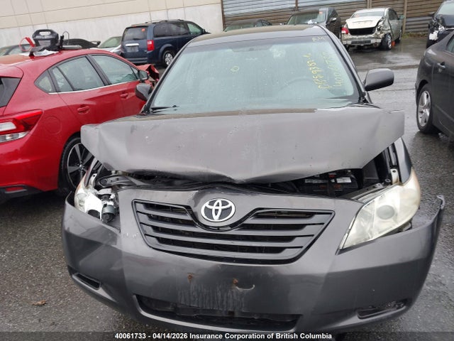 40061733 :رقم المزاد ، 4T1BE46K07U529604 vin ، 2007 Toyota Camry Ce/le/xle/se مزاد بيع
