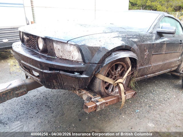 Продаж на аукціоні авто 2005 Ford Mustang, vin: 1ZVFT84N355229639, номер лоту: 40066258