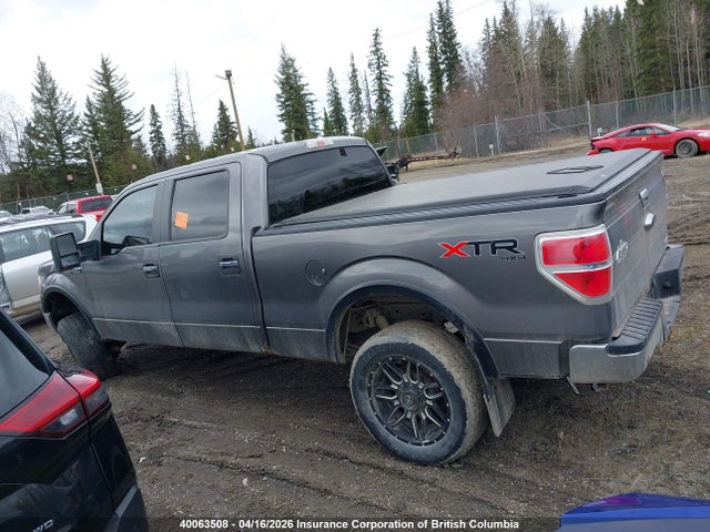Aukcja sprzedaży 2014 Ford F150 Supercrew, vin: 1FTFW1EF8EFB22721, numer aukcji: 40063508