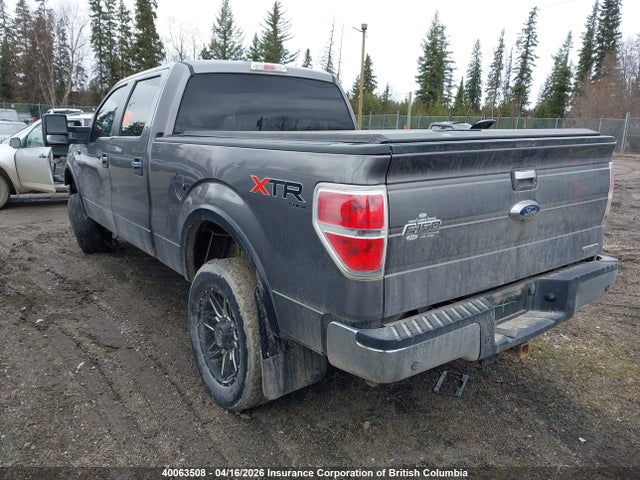 Aukcja sprzedaży 2014 Ford F150 Supercrew, vin: 1FTFW1EF8EFB22721, numer aukcji: 40063508