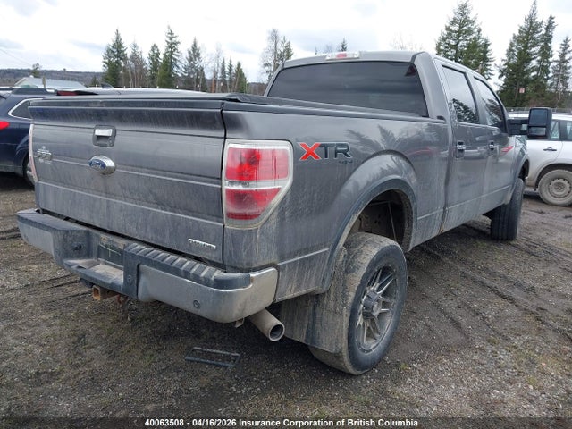 Aukcja sprzedaży 2014 Ford F150 Supercrew, vin: 1FTFW1EF8EFB22721, numer aukcji: 40063508