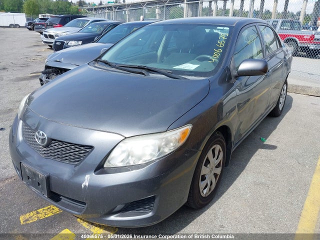 40066575 :رقم المزاد ، 2T1BU4EE8AC253535 vin ، 2010 Toyota Corolla Ce مزاد بيع