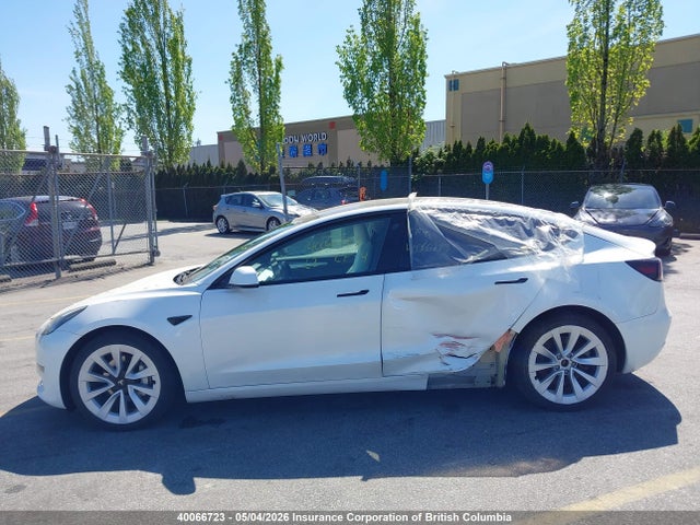 40066723 :رقم المزاد ، 5YJ3E1EA4PF399027 vin ، 2023 Tesla Model 3 مزاد بيع