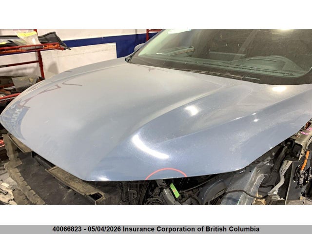Продаж на аукціоні авто 2024 Ford Ford, vin: 1FMCU0E11RUB20667, номер лоту: 40066823
