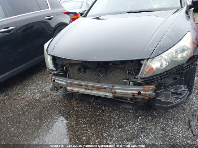 2008 Honda Accord Exl მანქანა იყიდება აუქციონზე, vin: 1HGCP36818A804855, აუქციონის ნომერი: 40055415