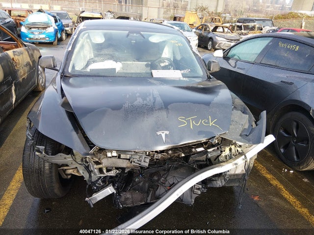 40047126 :رقم المزاد ، LRW3E7FA1RC263114 vin ، 2024 Tesla Model 3 مزاد بيع