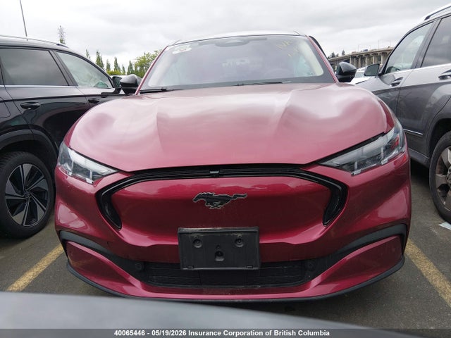 Продажа на аукционе авто 2025 Ford Mustang Mach-e Premium, vin: 3FMTK3S58SMA01846, номер лота: 40065446