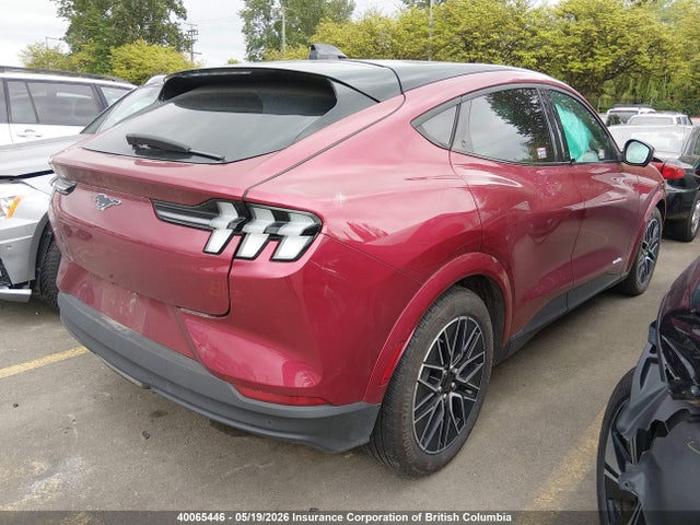 Продажа на аукционе авто 2025 Ford Mustang Mach-e Premium, vin: 3FMTK3S58SMA01846, номер лота: 40065446