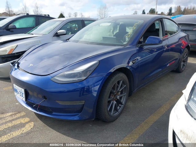 Продаж на аукціоні авто 2021 Tesla Model 3, vin: 5YJ3E1EA1MF021629, номер лоту: 40056316