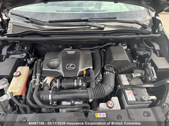 2020 Lexus Nx 300 მანქანა იყიდება აუქციონზე, vin: JTJGARDZ9L5000852, აუქციონის ნომერი: 40067188