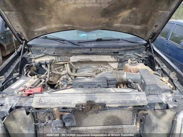 Aukcja sprzedaży 2013 Ford F150, vin: 1FTFX1EF8DFC01334, numer aukcji: 40067208