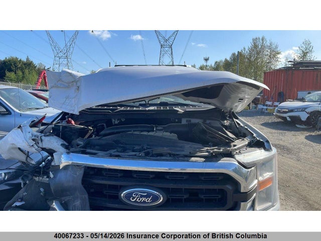 Продажа на аукционе авто 2021 Ford F150, vin: 1FTFX1E80MKE02170, номер лота: 40067233