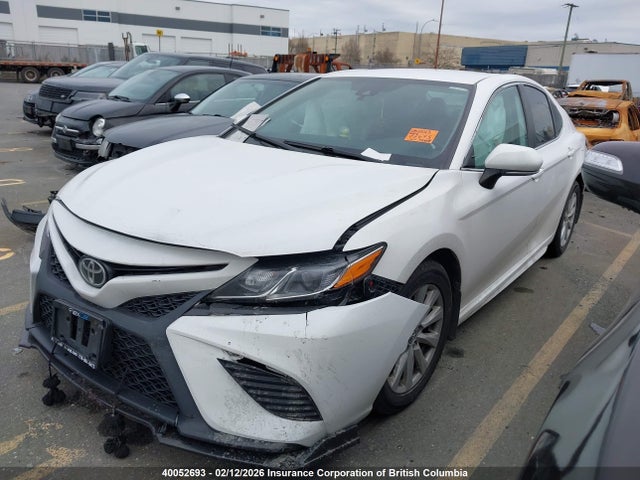 4T1B11HK8KU187240 Toyota Camry L/le/xle/se/xse