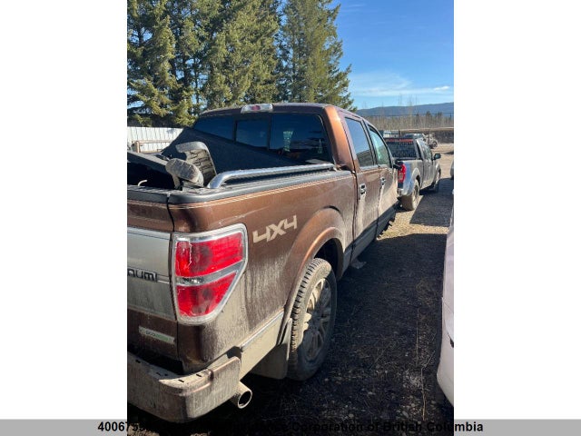 Продажа на аукционе авто 2012 Ford F150, vin: 1FTFW1ETXCFA31761, номер лота: 40067598