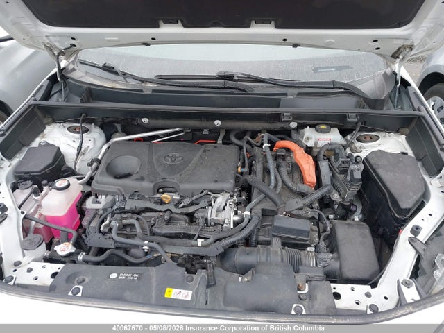 40067670 :رقم المزاد ، 2T3DWRFV6LW047671 vin ، 2020 Toyota Rav4 مزاد بيع