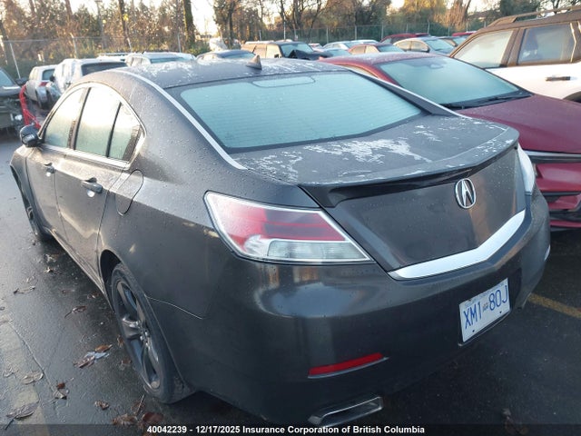 Продаж на аукціоні авто 2013 Acura Tl Tech, vin: 19UUA9F52DA801343, номер лоту: 40042239