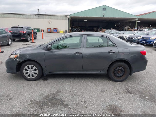 2010 Toyota Corolla S/le/xle მანქანა იყიდება აუქციონზე, vin: 2T1BU4EE3AC366776, აუქციონის ნომერი: 40067843