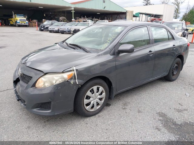 2010 Toyota Corolla S/le/xle მანქანა იყიდება აუქციონზე, vin: 2T1BU4EE3AC366776, აუქციონის ნომერი: 40067843