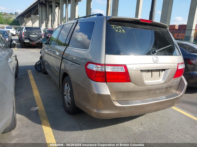 Продаж на аукціоні авто 2005 Honda Odyssey Exl, vin: 5FNRL38785B504032, номер лоту: 40065648
