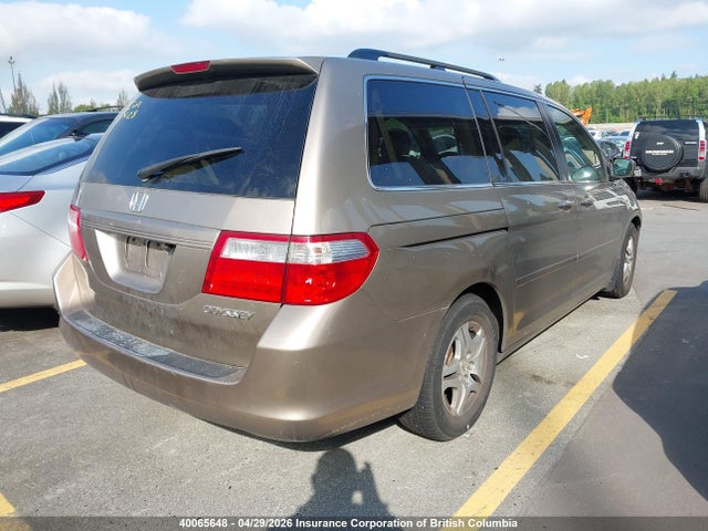 Продаж на аукціоні авто 2005 Honda Odyssey Exl, vin: 5FNRL38785B504032, номер лоту: 40065648