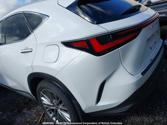 40062065 :رقم المزاد ، JTJHKCFZ6T2088661 vin ، 2026 Lexus Nx 450h Luxury/450h F Sport/450h Premium مزاد بيع