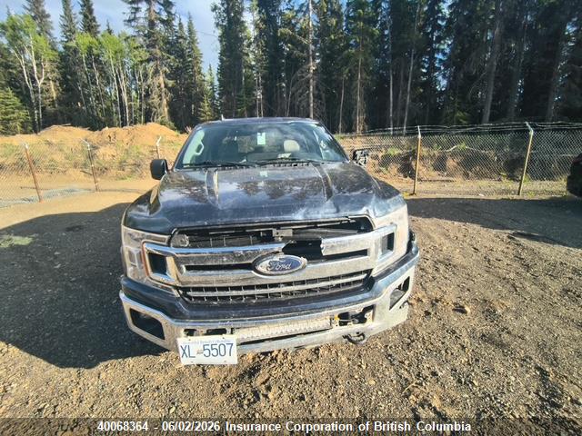 Продаж на аукціоні авто 2019 Ford F150, vin: 1FTEW1EP1KFD15454, номер лоту: 40068364