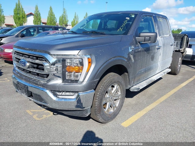 Aukcja sprzedaży 2023 Ford F150 Supercrew, vin: 1FTFW1E52PKE97585, numer aukcji: 40066646