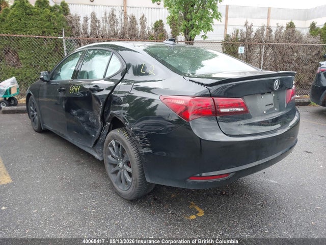 19UUB1F56FA801069 Acura TLX