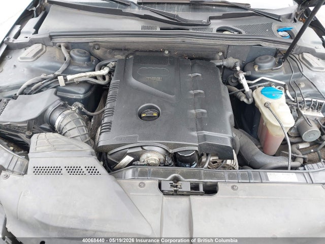 2009 Audi A4 მანქანა იყიდება აუქციონზე, vin: WAULF68K59N032749, აუქციონის ნომერი: 40068440