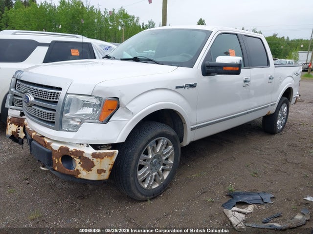 Продаж на аукціоні авто 2010 Ford F150, vin: 1FTFW1EV1AFB19838, номер лоту: 40068485