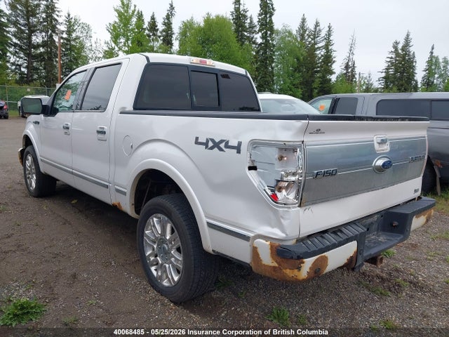 Продаж на аукціоні авто 2010 Ford F150, vin: 1FTFW1EV1AFB19838, номер лоту: 40068485