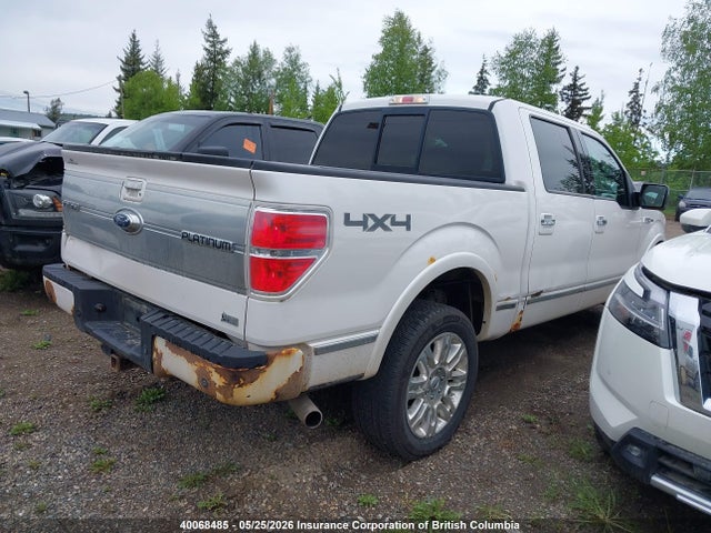 Продаж на аукціоні авто 2010 Ford F150, vin: 1FTFW1EV1AFB19838, номер лоту: 40068485