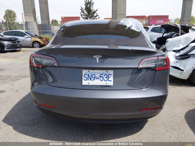 Продаж на аукціоні авто 2023 Tesla Model 3, vin: 5YJ3E1EA1PF409741, номер лоту: 40066486