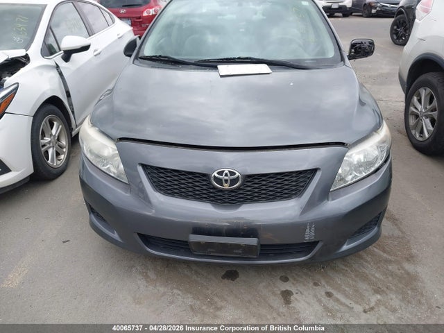40065737 :رقم المزاد ، 2T1BU4EE1AC328267 vin ، 2010 Toyota Corolla S/le/xle مزاد بيع
