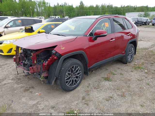 2023 Toyota Rav4 მანქანა იყიდება აუქციონზე, vin: 2T3DWRFV2PW166341, აუქციონის ნომერი: 40068722