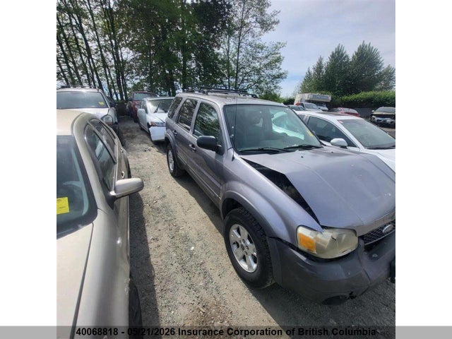 2007 Ford Escape Xlt მანქანა იყიდება აუქციონზე, vin: 1FMYU93187KA32530, აუქციონის ნომერი: 40068818