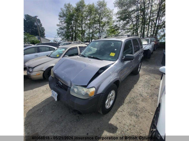 2007 Ford Escape Xlt მანქანა იყიდება აუქციონზე, vin: 1FMYU93187KA32530, აუქციონის ნომერი: 40068818