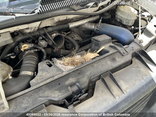 Auction sale of the 2014 Gmc Savana Cutaway G4500, vin: 1GD676BL3E1106178, lot number: 40069053