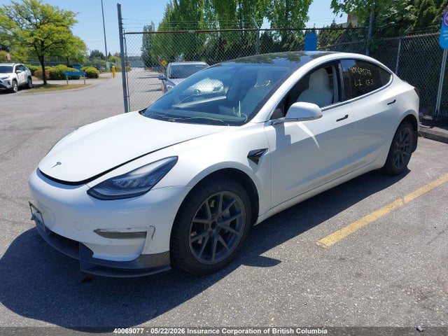 40069077 :رقم المزاد ، 5YJ3E1EA0LF715551 vin ، 2020 Tesla Model 3 Standard Range Plus مزاد بيع